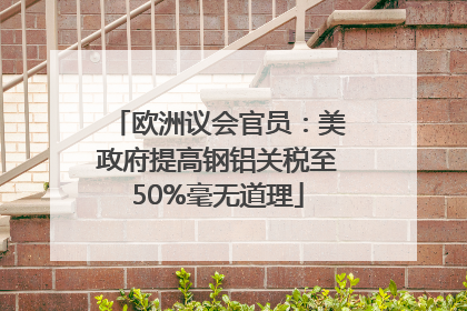欧洲议会官员：美政府提高钢铝关税至50%毫无道理