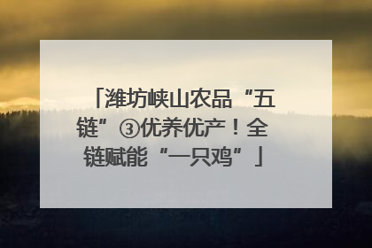 潍坊峡山农品“五链”③优养优产！全链赋能“一只鸡”