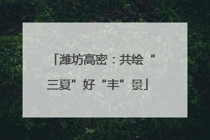 潍坊高密：共绘“三夏”好“丰”景