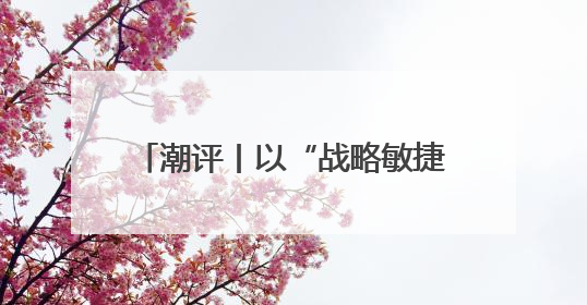 潮评丨以“战略敏捷”抢占“时差优势”