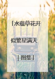 水蕴草花开 似繁星满天｜图集