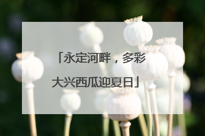 永定河畔，多彩大兴西瓜迎夏日