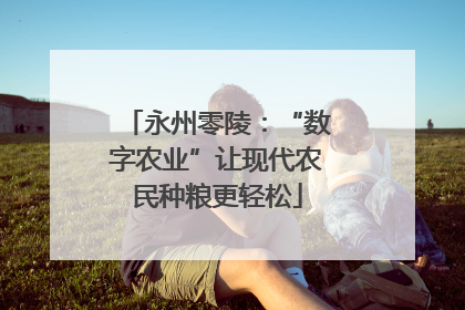 永州零陵：“数字农业”让现代农民种粮更轻松