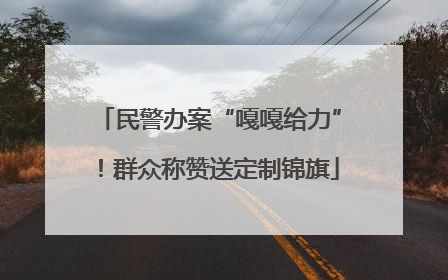 民警办案“嘎嘎给力”！群众称赞送定制锦旗