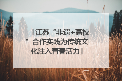 江苏“非遗+高校”合作实践为传统文化注入青春活力