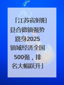 江苏省射阳县合德镇强势跻身2025镇域经济全国500强，排名大幅跃升