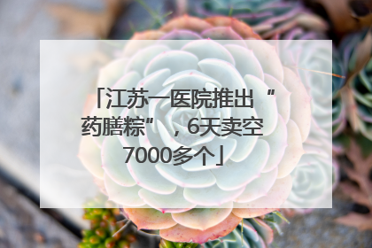 江苏一医院推出“药膳粽”，6天卖空7000多个