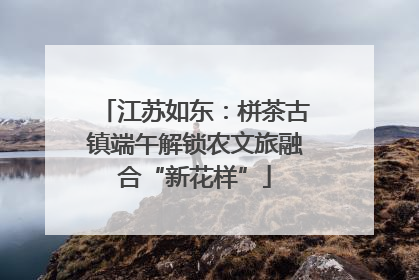江苏如东：栟茶古镇端午解锁农文旅融合“新花样”