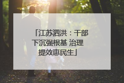 江苏泗洪：干部下沉强根基 治理提效惠民生