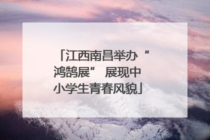 江西南昌举办“鸿鹄展” 展现中小学生青春风貌