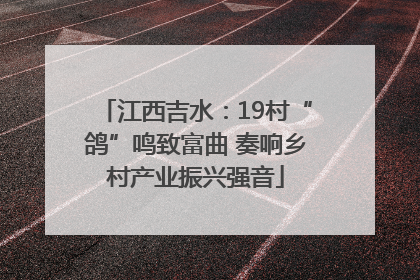 江西吉水：19村“鸽”鸣致富曲 奏响乡村产业振兴强音
