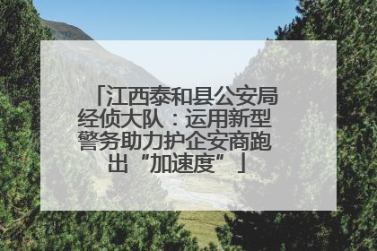 江西泰和县公安局经侦大队：运用新型警务助力护企安商跑出“加速度”
