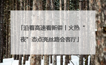 沿着高速看新疆丨火热“夜”态点亮丝路会客厅