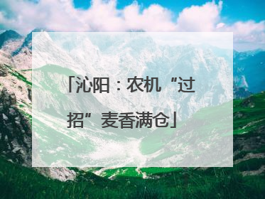 沁阳：农机“过招”麦香满仓