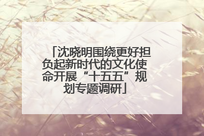 沈晓明围绕更好担负起新时代的文化使命开展“十五五”规划专题调研