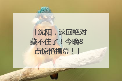 沈阳，这回绝对藏不住了！今晚8点惊艳揭幕！