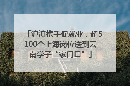 沪滇携手促就业，超5100个上海岗位送到云南学子“家门口”