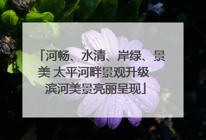 河畅、水清、岸绿、景美 太平河畔景观升级 滨河美景亮丽呈现