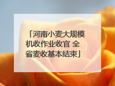 河南小麦大规模机收作业收官 全省麦收基本结束