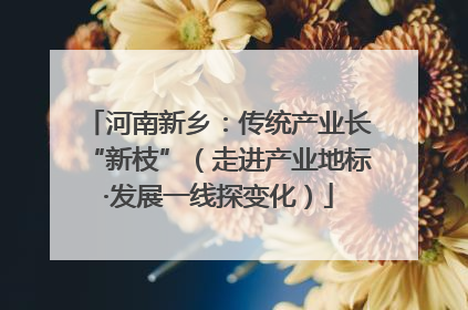 河南新乡：传统产业长“新枝”（走进产业地标·发展一线探变化）