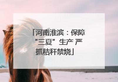 河南淮滨：保障“三夏”生产 严抓秸秆禁烧