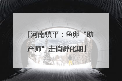 河南镇平：鱼卵“助产师”走俏孵化期