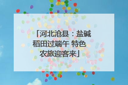 河北沧县：盐碱稻田过端午 特色农旅迎客来