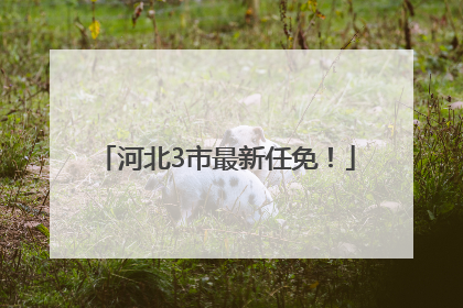 河北3市最新任免！