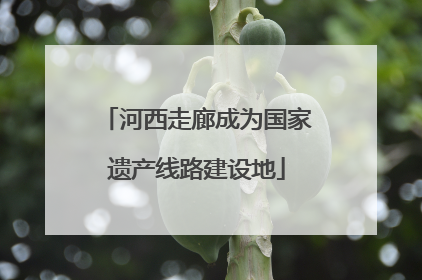 河西走廊成为国家遗产线路建设地