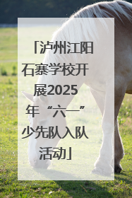泸州江阳石寨学校开展2025年“六一”少先队入队活动