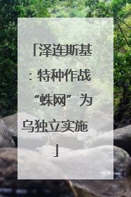 泽连斯基：特种作战“蛛网”为乌独立实施