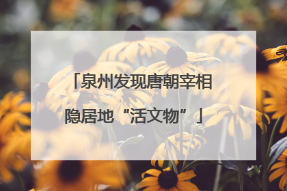 泉州发现唐朝宰相隐居地“活文物”