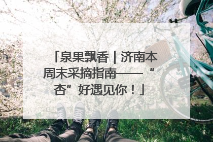 泉果飘香｜济南本周末采摘指南——“杏”好遇见你！