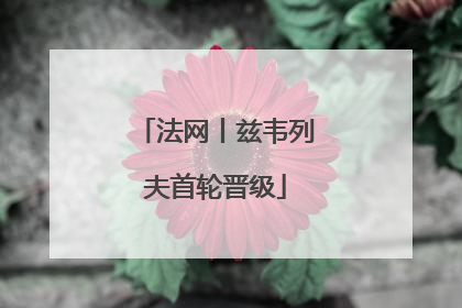 法网丨兹韦列夫首轮晋级