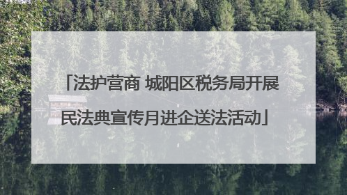法护营商 城阳区税务局开展民法典宣传月进企送法活动