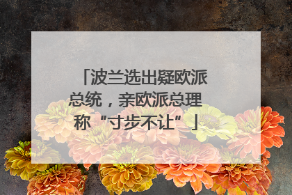 波兰选出疑欧派总统，亲欧派总理称“寸步不让”