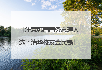 注意韩国国务总理人选：清华校友金民锡