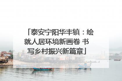 泰安宁阳华丰镇：绘就人居环境新画卷 书写乡村振兴新篇章