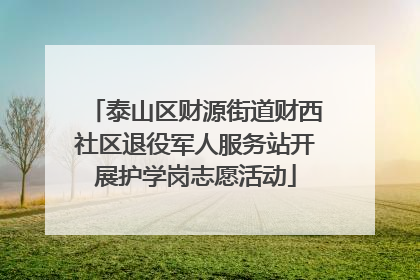 泰山区财源街道财西社区退役军人服务站开展护学岗志愿活动