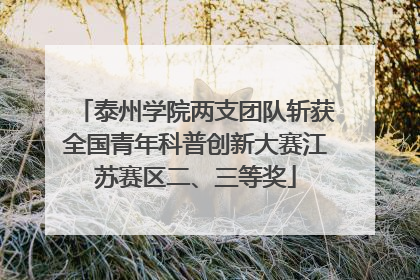 泰州学院两支团队斩获全国青年科普创新大赛江苏赛区二、三等奖