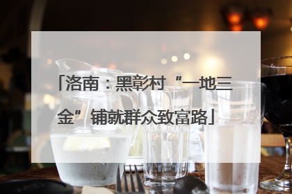 洛南：黑彰村“一地三金”铺就群众致富路