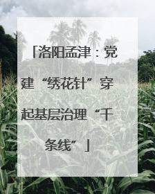 洛阳孟津：党建“绣花针”穿起基层治理“千条线”