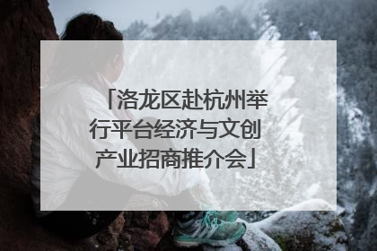 洛龙区赴杭州举行平台经济与文创产业招商推介会