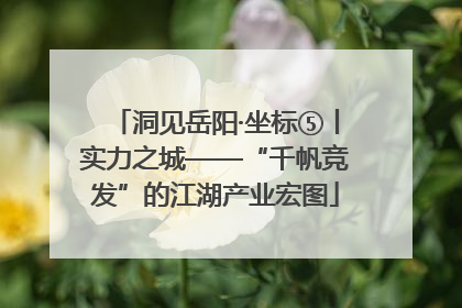 洞见岳阳·坐标⑤丨实力之城——“千帆竞发”的江湖产业宏图