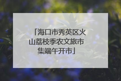 海口市秀英区火山荔枝季农文旅市集端午开市