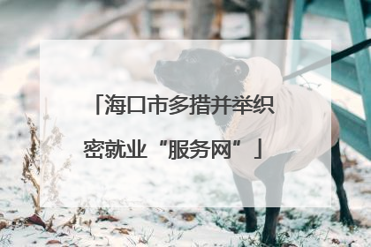 海口市多措并举织密就业“服务网”