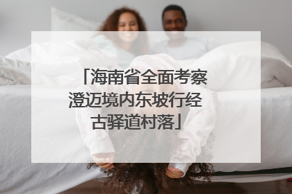 海南省全面考察澄迈境内东坡行经古驿道村落