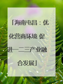 海南屯昌：优化营商环境 促进一二三产业融合发展