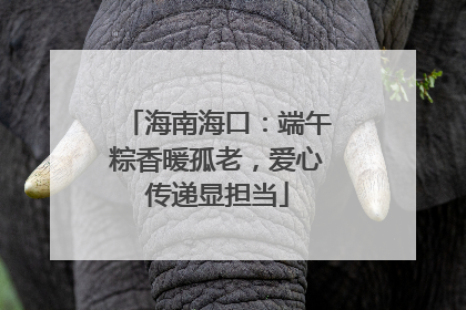 海南海口：端午粽香暖孤老，爱心传递显担当