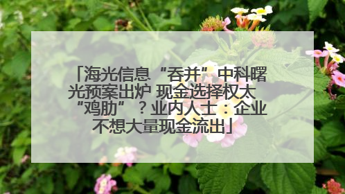 海光信息“吞并”中科曙光预案出炉 现金选择权太“鸡肋”？业内人士：企业不想大量现金流出